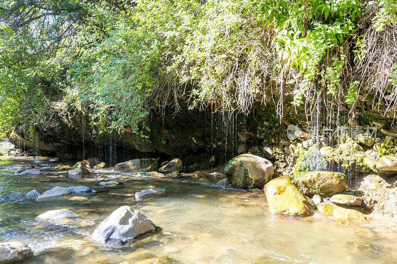 滴水的岩石瀑布/在夏天的下午徒步旅行